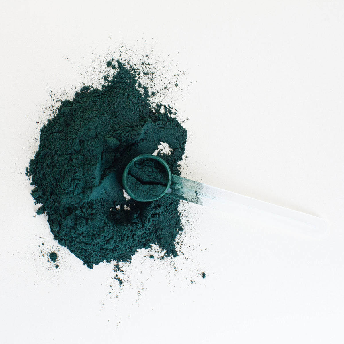Debloat Supplements Cost Per Day Compared