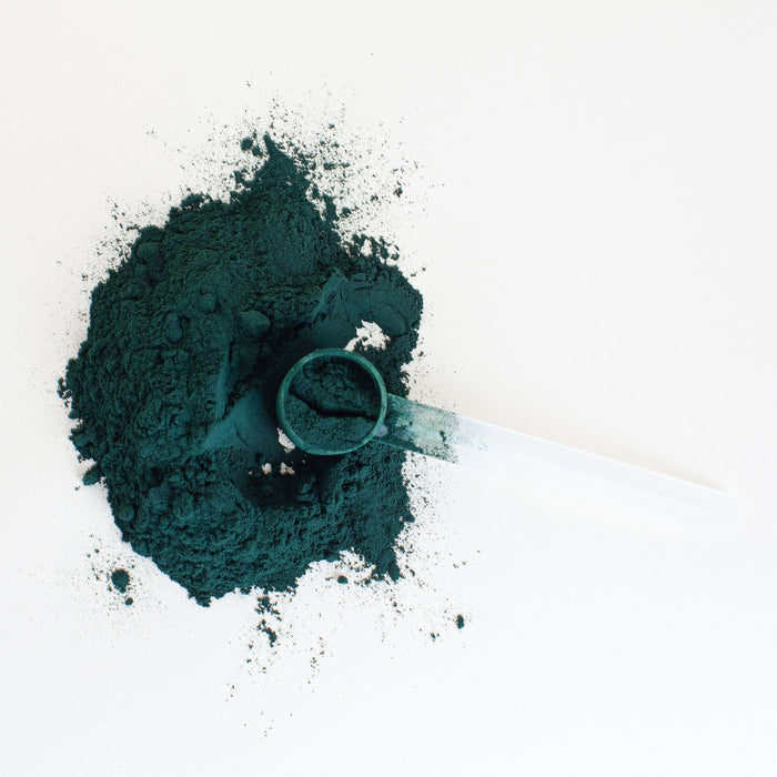 Debloat Supplements Compared by Cost Per Day: Promix, Seed, Arrae, Lemme